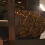 Projet : Teaser extraordinaire voyage du chocolat